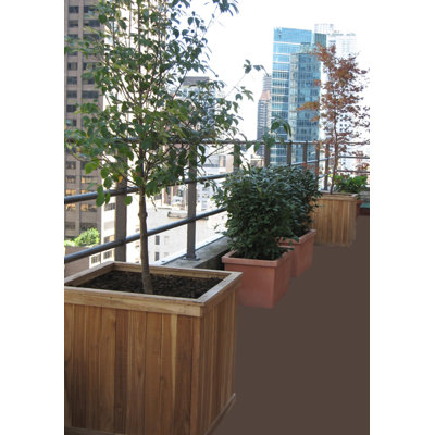 Diamond Teak Cubed Box Planter