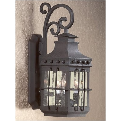 Troy Lighting Dover  Dark Sky Wall Lantern in Natural Bronze