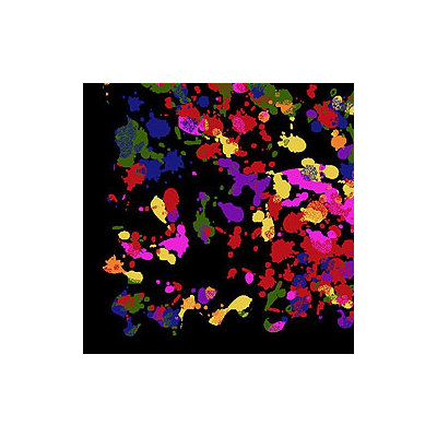 Joy Carpets Just for Kids Kid Essentials Splatter Paint Kids Rug