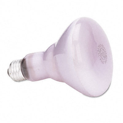 GE Incandescent Reflector Floodlight, 65 Watts