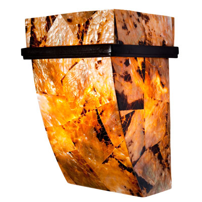 Varaluz Sustainable Shell Big Sconce - One Light