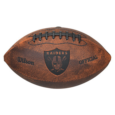 Wilson NFL Collectible Football