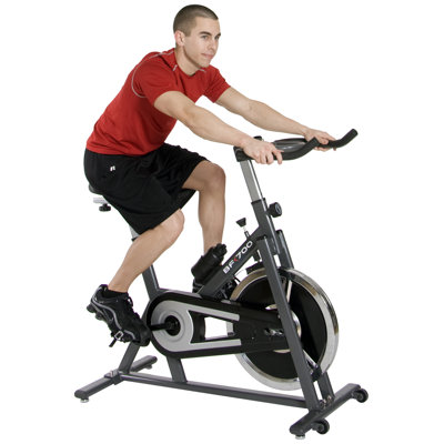 Body Flex Deluxe Cycle Trainer