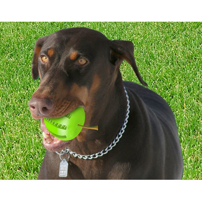 Hugs Pet Products Apple Dog Chew Toy