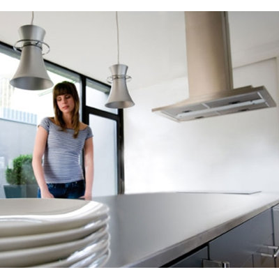 B.Lux RCA Pendant Light
