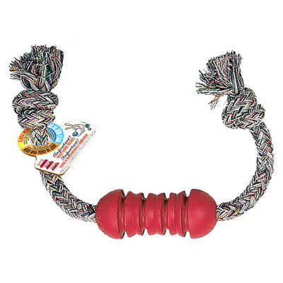 KONG Dental Kong Dog Toy