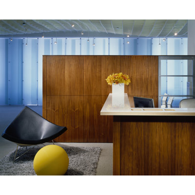 Herman Miller &reg; Nelson &trade; Coconut Chair
