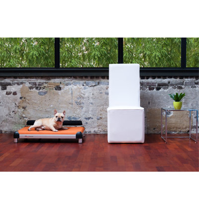 DoggySnooze SnoozeSleeper Dog Bed with Long Legs and a Black Anodized Frame