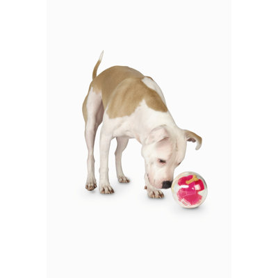 Planet Dog Orbee Tuff Mazee Dog Toy