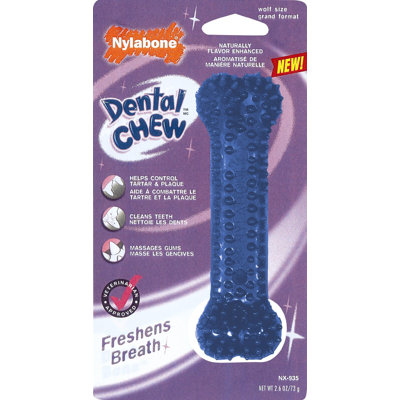 Nylabone Dental Chew Bone Dog Toy
