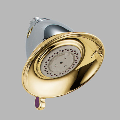 Delta Victorian Touch-Clean Shower Head