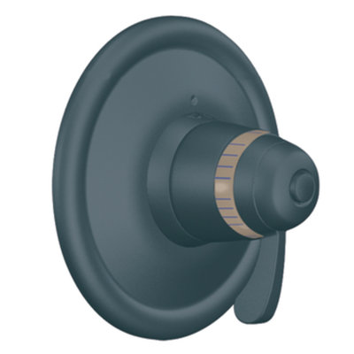 Moen Exact Temp Valve Trim