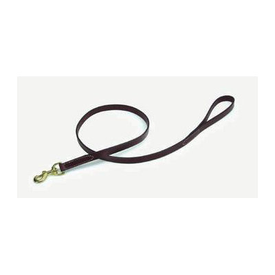 Coastal Pet Products Pet Oak Tanned Leather Leash