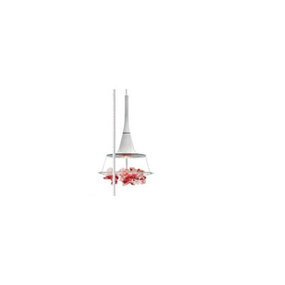 LBL Lighting Vision 1 Light Mini Pendant
