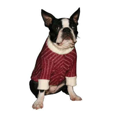 Hip Doggie Skull Cherry Dog Turtleneck