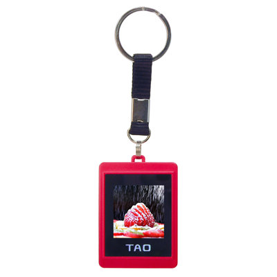 Tao Electronics Inc. Digital Photo Key Chain (Pair of 2 Key Chains)