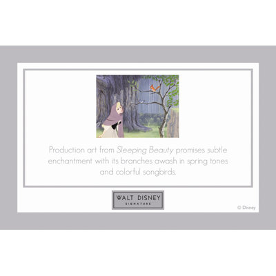 Pro Tour Memorabilia Walt Disney Signature Giclee VII Framed Print #318a Inspired by Sleeping Beauty &ndash; 18" x 14"