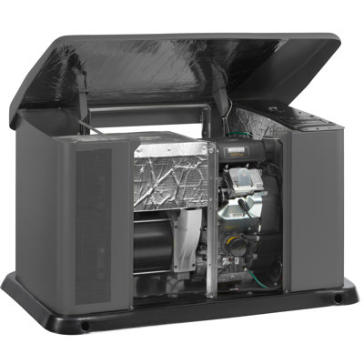 Briggs & Stratton 16kW1 Standby Generator with 100 Amp, 16 Circuit Automatic Transfer Switch