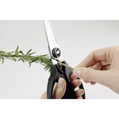 OXO Kitchen And Herb Scissors