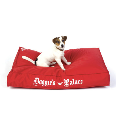 Sit On It Doggie Style Beanbag in Beauty Sleep Funky Fuchsia