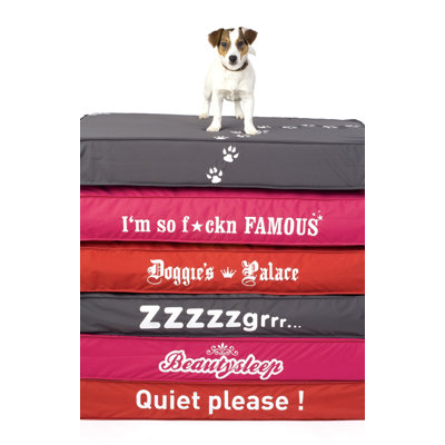Sit On It Doggie Style Beanbag in Beauty Sleep Funky Fuchsia