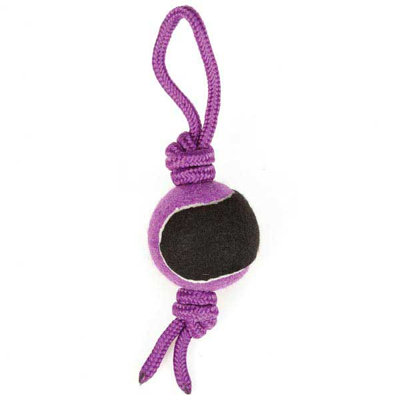 Zanies Tennis Tug Clip Strip Dog Toy (12 Pieces)