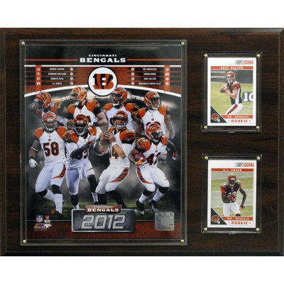 C & I Collectibles NFL 2012 Team Plaque