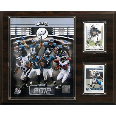 C & I Collectibles NFL 2012 Team Plaque