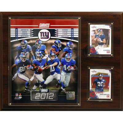 C & I Collectibles NFL 2012 Team Plaque