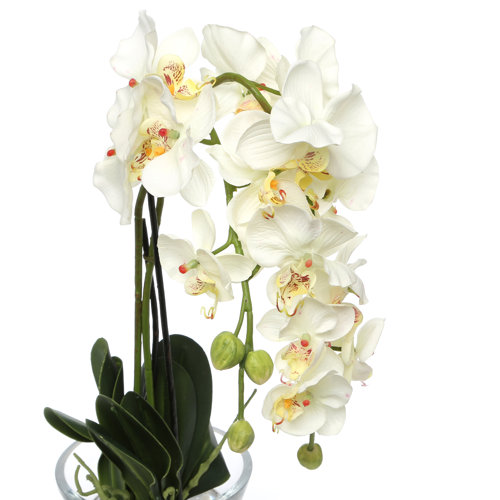 Nearly Natural Phalaenopsis Silk Orchid in White with Glass Vase