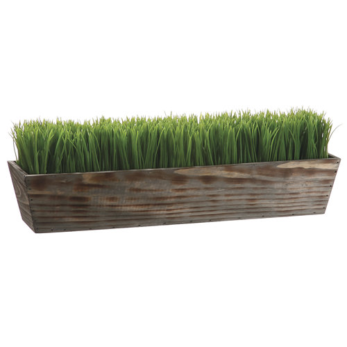 Tori Home Grass in Rectangular Wood Planter & Reviews Wayfair