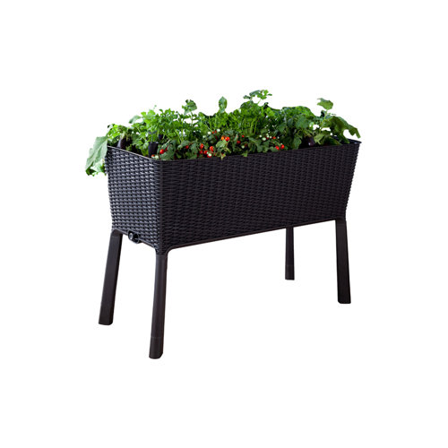 Keter Easy Grow Rectangle Raised Rattan Garden Planter & Reviews Wayfair
