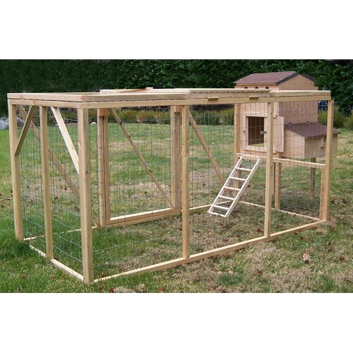 Creative Coops Small Hen House Starter Kit &amp; Reviews | Wayfair