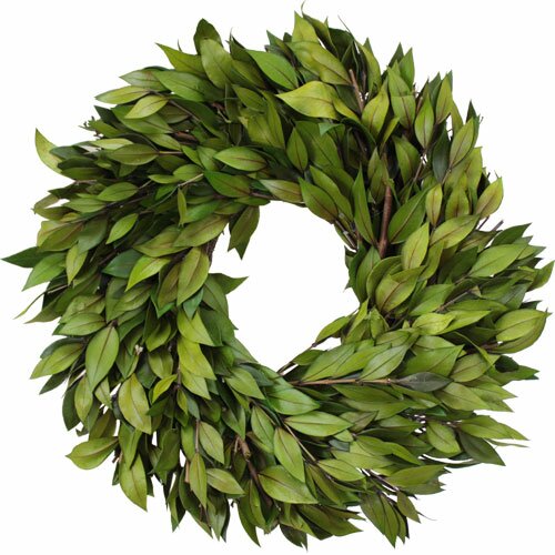 Urban Florals Spring   Everyday Green Myrtle Wreath & Reviews 