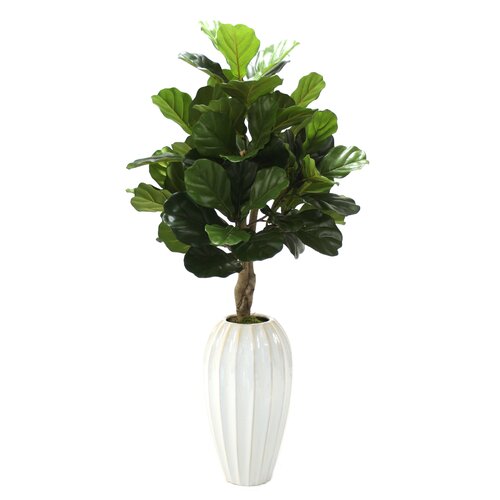 Distinctive Designs 72 Fiddle Leaf Tree in Medium Glazed Ceramic