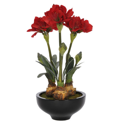 Artificial Amaryllis in Urn Wayfair