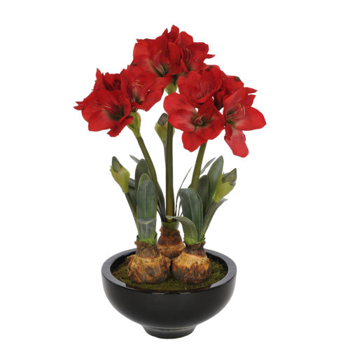 House of Silk Flowers Artificial Amaryllis in Pot & Reviews Wayfair