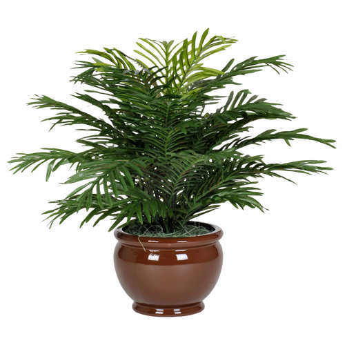 House of Silk Flowers Artificial Fern Floor Plant in Pot & Reviews
