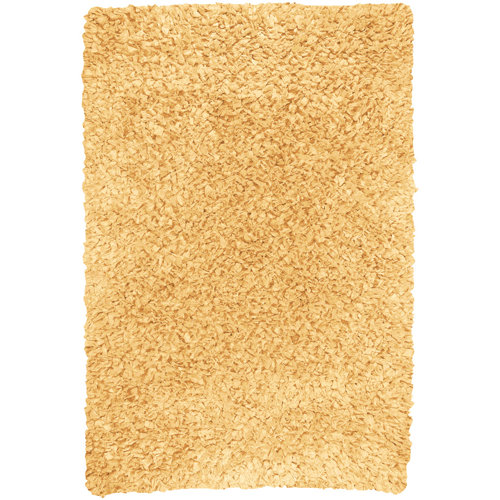 2x3 Shag Rug Wayfair