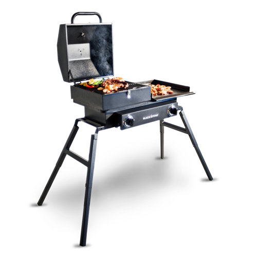 16" Tailgater Combo Wayfair