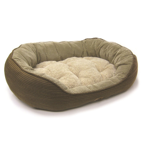 Precision Pet Pillow Soft Daydreamer Dog Bed & Reviews Wayfair