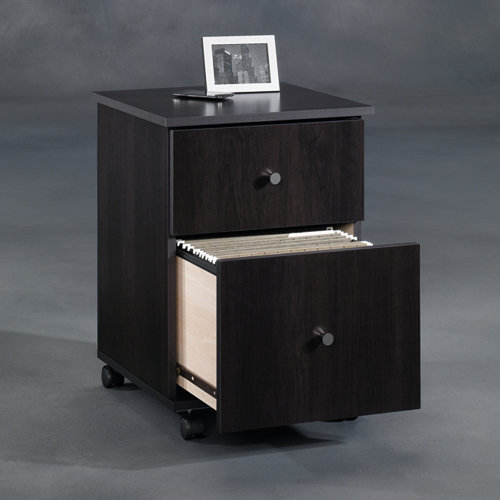 Sauder 2 Drawer Mobile File & Reviews Wayfair