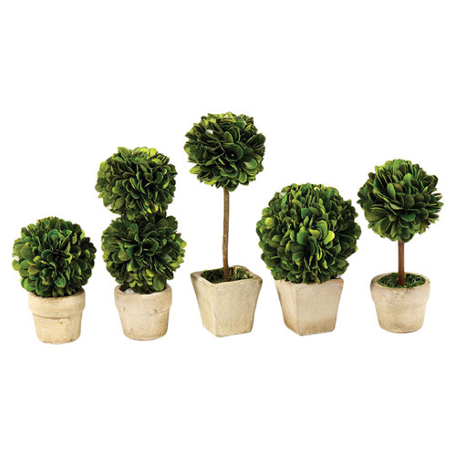 perserved greens mini 5 piece topiary set wayfair perserved greens mini 5 piece topiary set wayfair