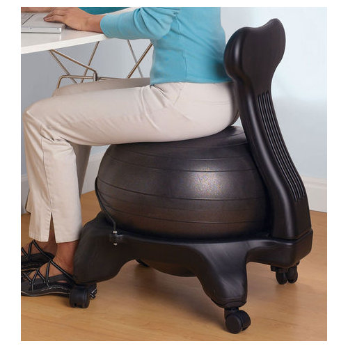 Gaiam Balance Ball Chair & Reviews Wayfair