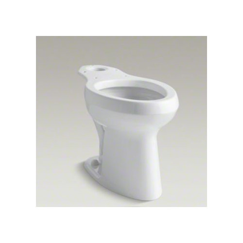 Highline Pressure Lite Toilet Bowl with Bedpan Lugs Wayfair