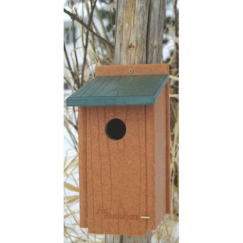 audubon woodlink go green bluebird birdhouse reviews audubon woodlink go green bluebird birdhouse reviews