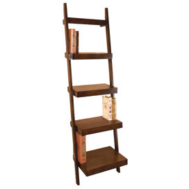 Leaning Ladder 69