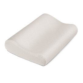 Anti Snore Contour Memory Foam Standard Pillow