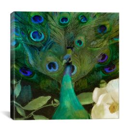 'Aqua Peacock' by Color Bakery Graphic Art on Canvas
