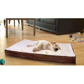 The Pampered Pet: Strollers & More